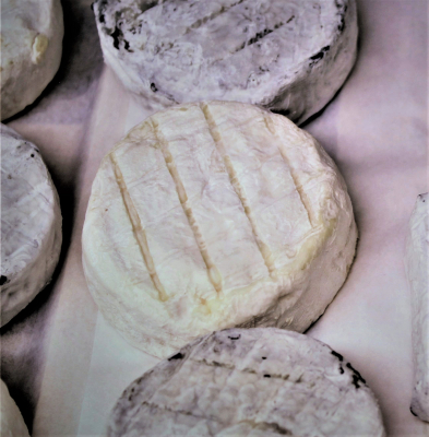 Tome de Rove Fermière